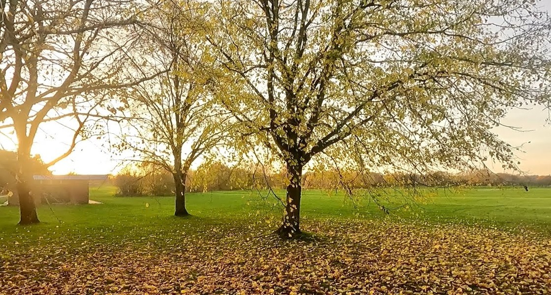 A peaceful green path in Norman Park, Bromley — where walk-and-talk therapy sessions take place